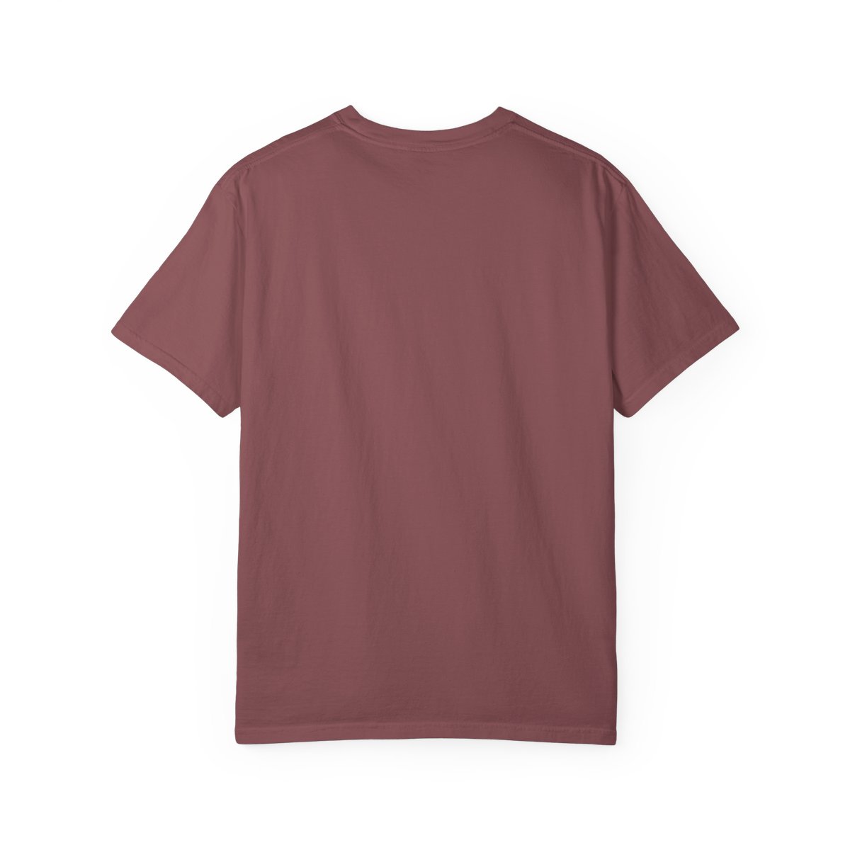 Sam and Colby XPLR Explorer T-Shirt - alternate angle 1, merchandise
